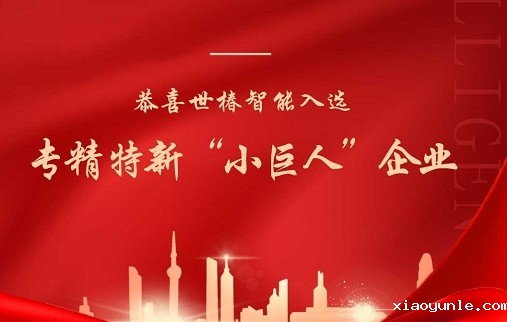 喜报！星空app登录入口官网成功入选国家工信部专精特新“小巨人”企业名单